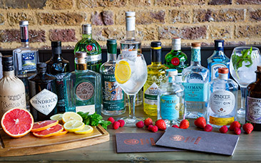 gin tasting with meal
