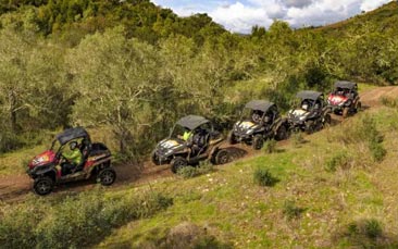 buggy tour hen party