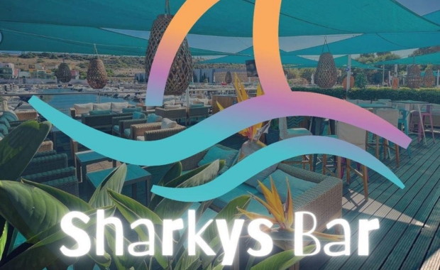 sharky's bar 