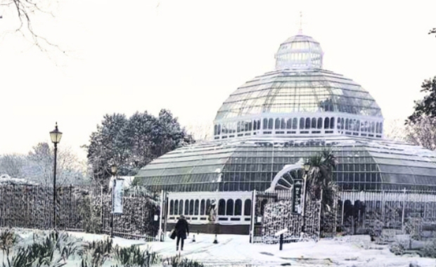 A photo of Sefton Park Palm House